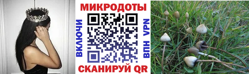 Купить  Сегежа  Галлюциногенные грибы ЛСД 
